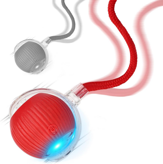 2026 New 2Pack Cat Ball Kitten Toys for Indoor Interactive Kitty Ball Toy Speedy Tail 360° Automatic Rolling(Red Grey)