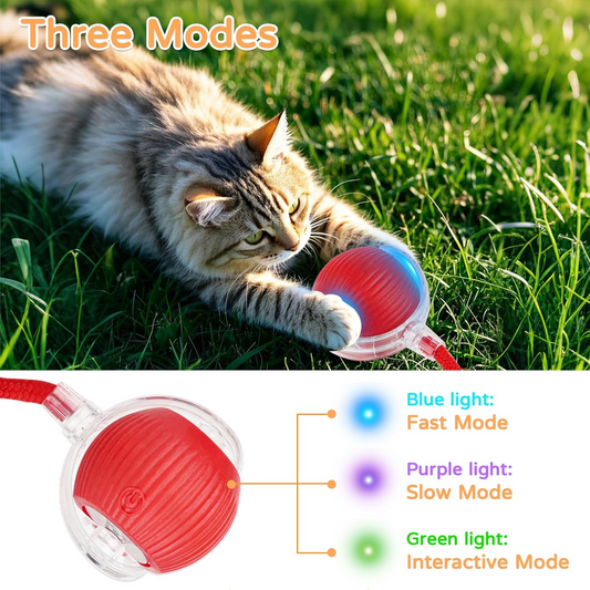 2026 New 2Pack Cat Ball Kitten Toys for Indoor Interactive Kitty Ball Toy Speedy Tail 360° Automatic Rolling(Red Grey)