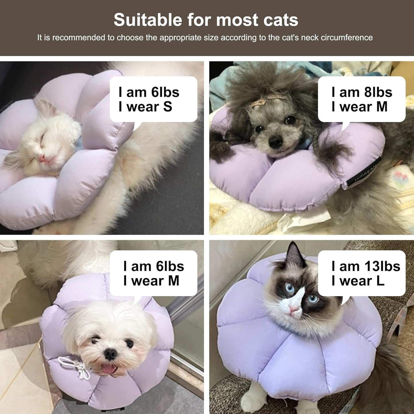 Cat Cone Collar,Cute Waterproof Cat Recovery Collar,Anti-Bite Lick Wound Healing Safety Elizabethan e Collar for Cats
