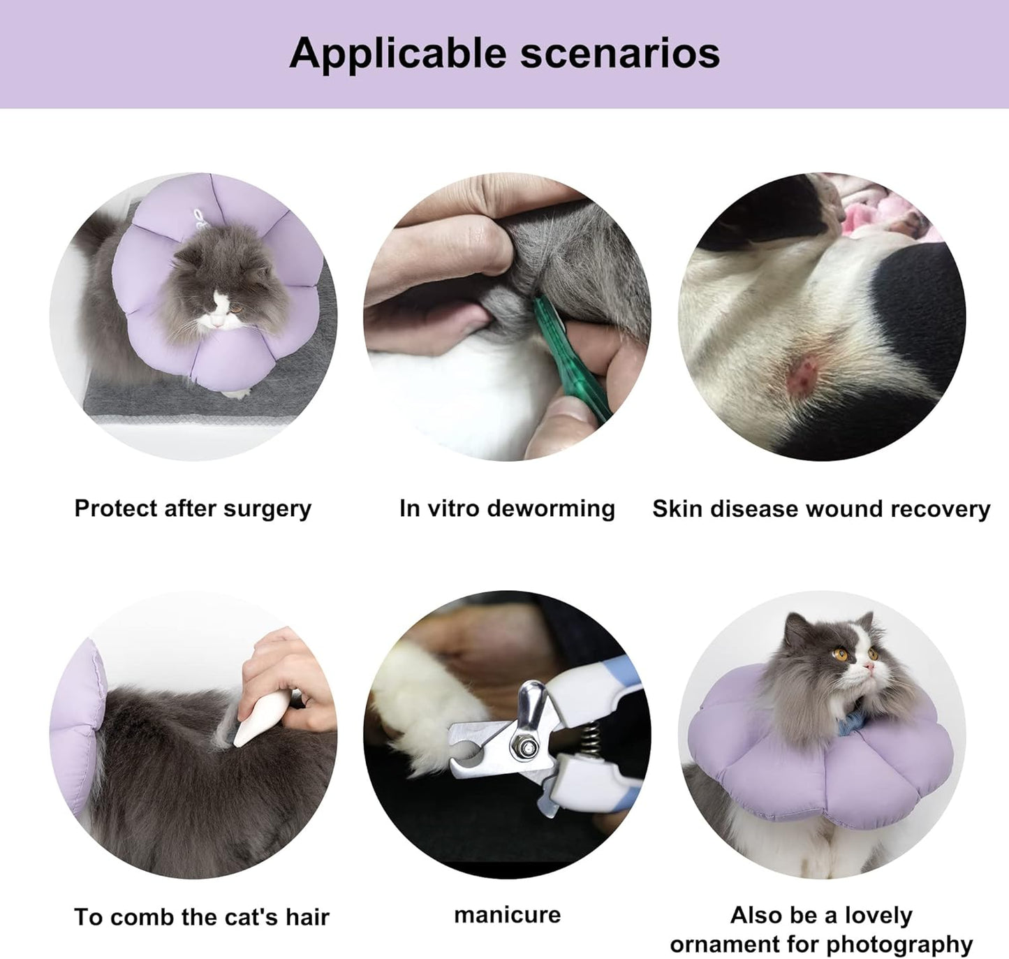 Cat Cone Collar,Cute Waterproof Cat Recovery Collar,Anti-Bite Lick Wound Healing Safety Elizabethan e Collar for Cats